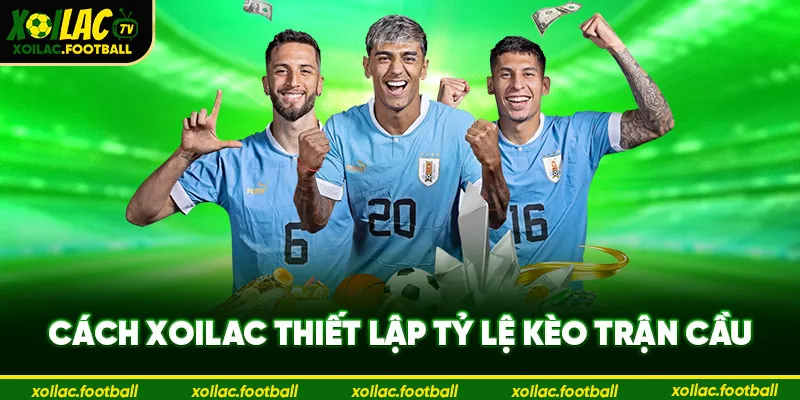 Cách Xoilac thiết lập tỷ lệ kèo trận cầu