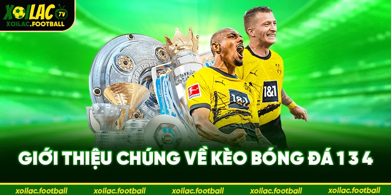 Giới thiệu chung về kèo bóng đá 1 3 4